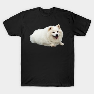 American Eskimo Dog picture T-Shirt